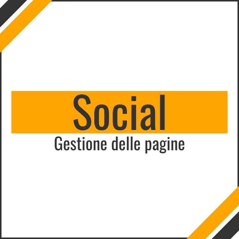 Gestione canali Social (1 mese)