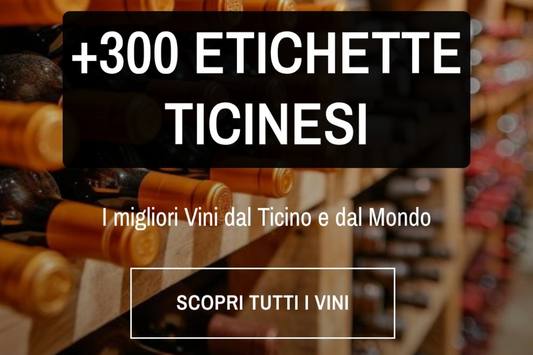 Professione Business X Canetti Vini SA - Enoteca Tivinum: La Nuova Era del Vino Online